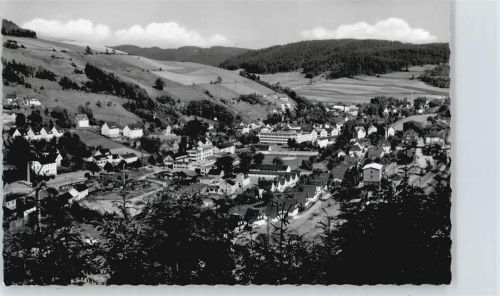 Ludwigsstadt