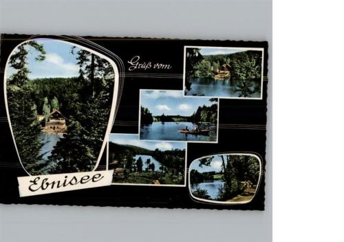 Ebnisee