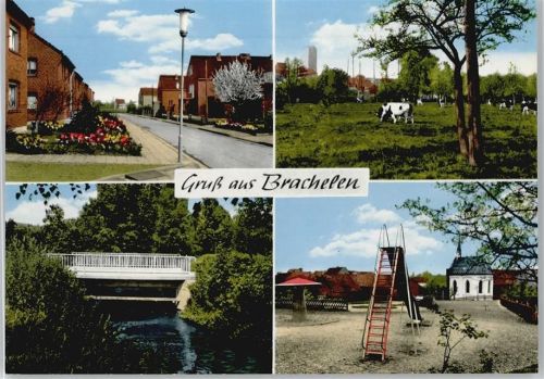 Brachelen