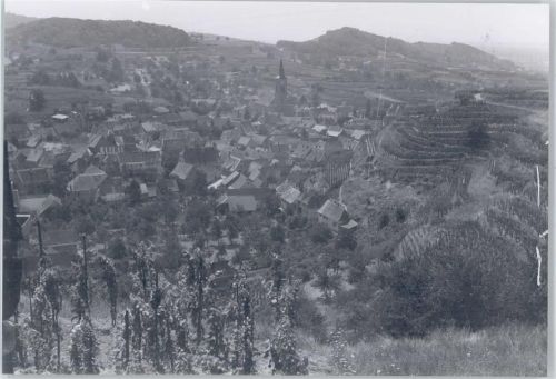 Oberrotweil Foto