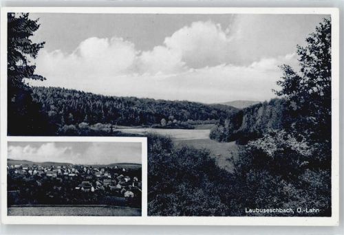 35789 W6292 Laubuseschbach - Wald Feld Haus