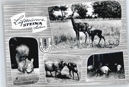 Steina Tierpark , Steintal