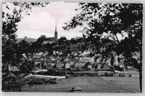 Frankenberg Kirche Baum Gesamtansicht Feld