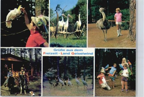 96160 W8614 Geiselwind - Safariland , Strauß