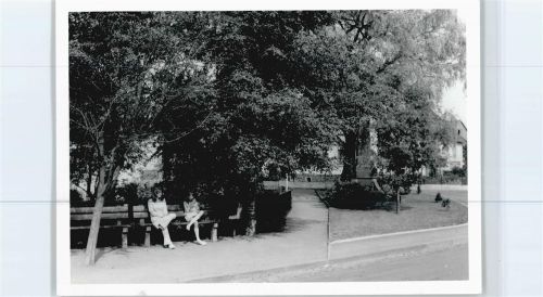 Elkenroth Foto