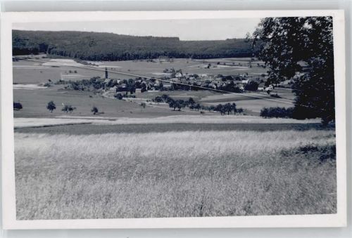 Arborn Foto