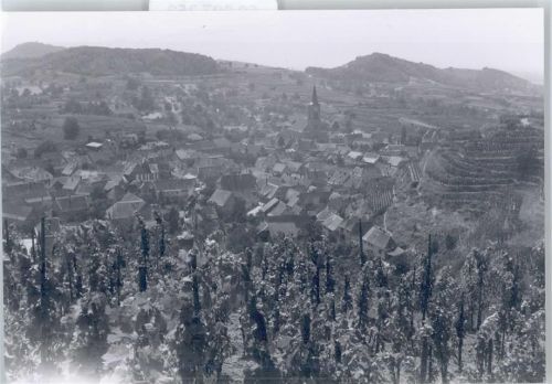 Oberrotweil Foto