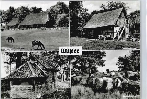 Wilsede