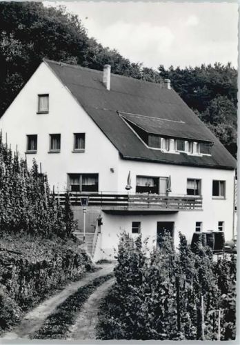 Bullay Haus im Weinberg