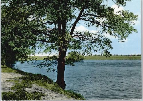 Glienitz Pension am Wacholder Fluss Baum Feld