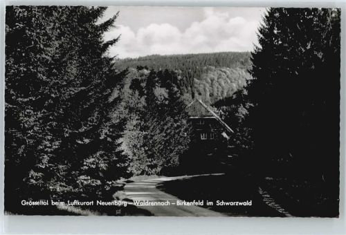 Neuenbürg
