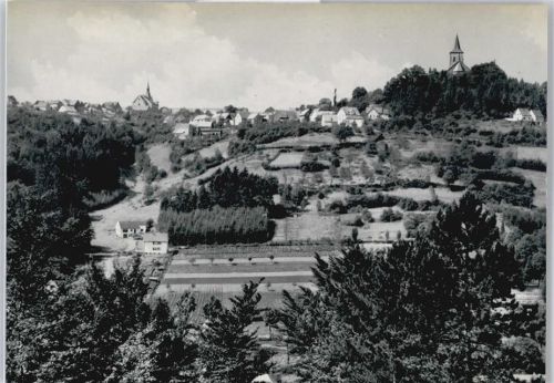 Obermarsberg Baum Haus Feld