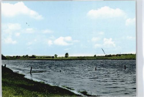 Neu Darchau Fluss Zaun Baum Wiese