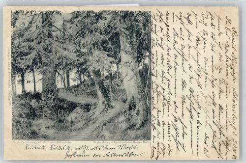 Schöneberg Wald Baum