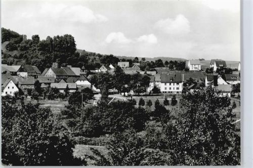 Lauenberg Gasthaus zum Sollinger Wald Baum Wiese
