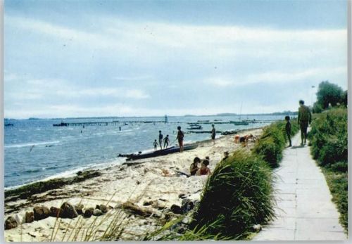 Steinberghaff See Strand Fußgänger Baum
