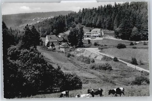 Kapfenhardt