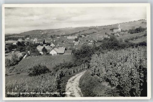 Auggen Teilansicht, Weinanbau