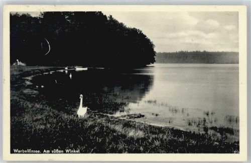 Eichhorst Werbellinsee