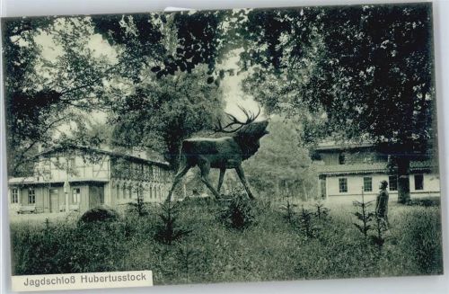Hubertusstock Jagdschloss Hubertusstock, Hirsch