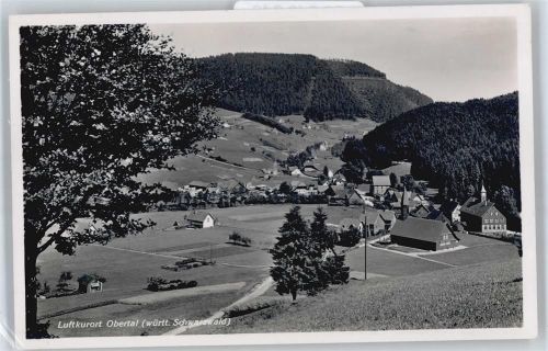 Obertal Panorama Berg