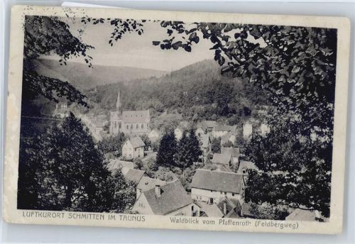 Schmitten Panorama