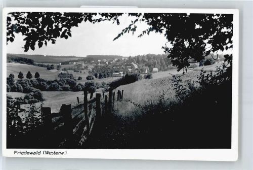 Friedewald