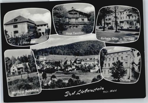 Bad Liebenstein Haus Else, Waldhaus Reichshöhe, Haus Feodora, Kurheim Olga, Hotel charlotte
