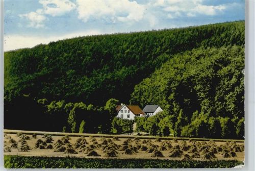 Extertal Waldpension "Hof Döhmerberg", Ernst Brinkmann, Gel. 05.06.75
