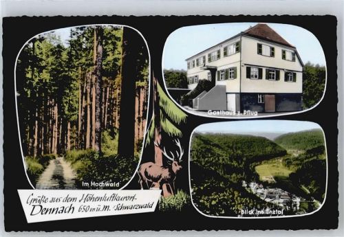 Dennach Gasthaus, Pension Zum Pflug, Enztal