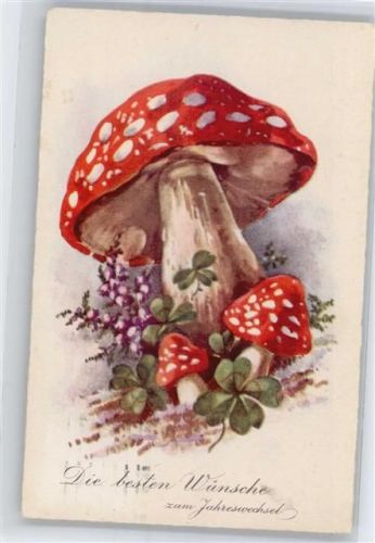 Fliegenpilz