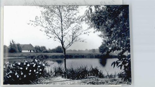 Apen Foto mit Negativ