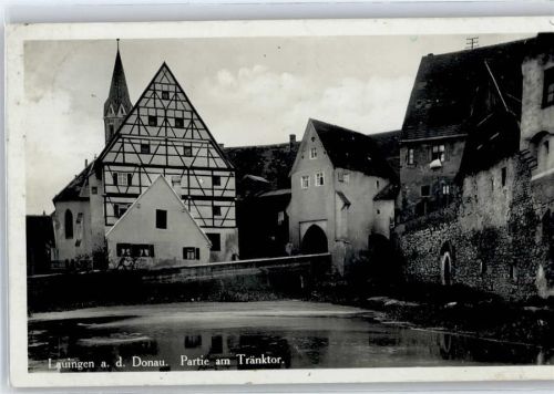 Lauingen Partie am Tränktor