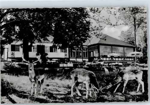 Braunfels Forsthaus im Tiergarten