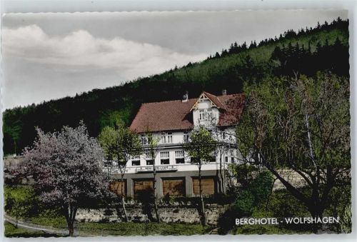 Wolfshagen Berghotel