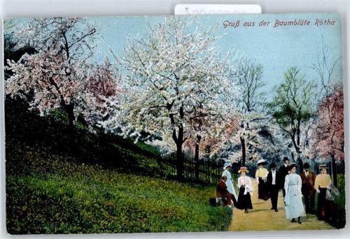 Rötha Baumblüte