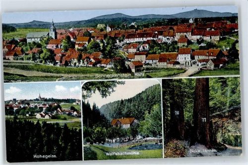 Benneckenstein Hohegeiss, Wolfsbachmühle, Dicke Tannen