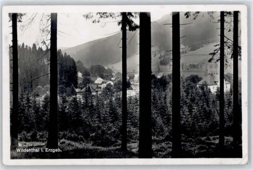 Wildenthal