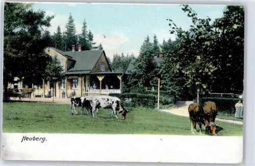 Heuberg Kuh
