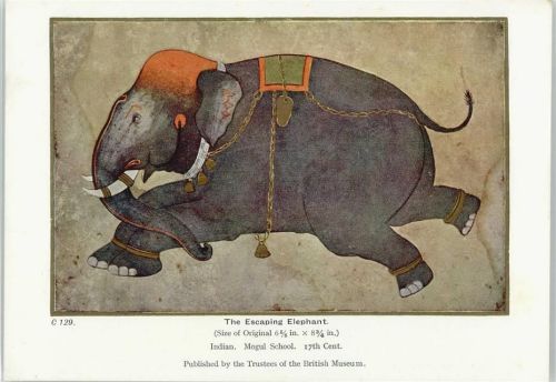 Indien Mogul School Elefant