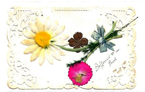Blume mit Schleife