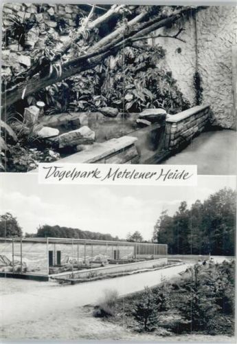 Metelen Vogelpark Metelener Heide
