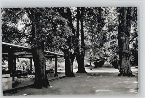 Braunfels Lindenallee Herrengarten