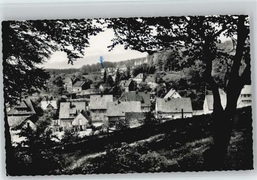 Steinbergen Teilansicht 1964 AK