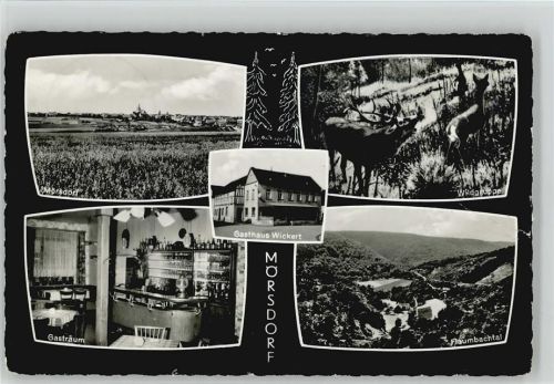 Mörsdorf Gasthaus Wickert Flaumbachtal Wildgruppe