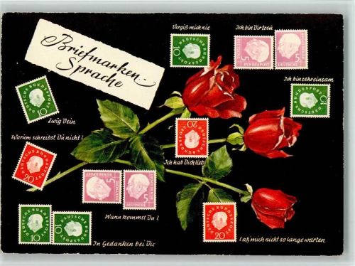 Rosen - Deutschland ca 1955 AK