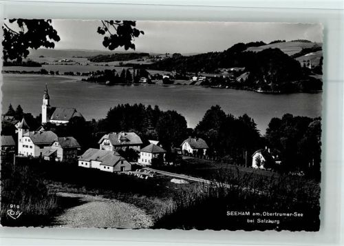 Seeham Ortsansicht mit Obertrumer-See