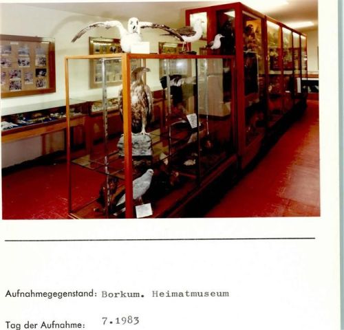 Borkum Heimatmuseum Innenaufnahme Foto montiert auf Karton