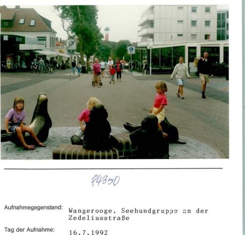 Wangerooge Seehundgruppe an der Zedeliusstraße Foto montiert auf Karton
