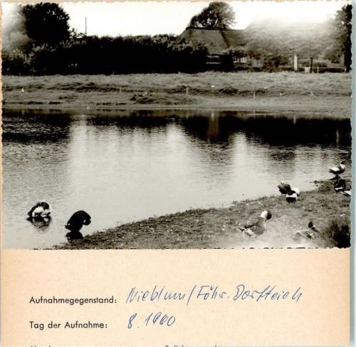Nieblum Dorfteich Enten Foto montiert auf Karton